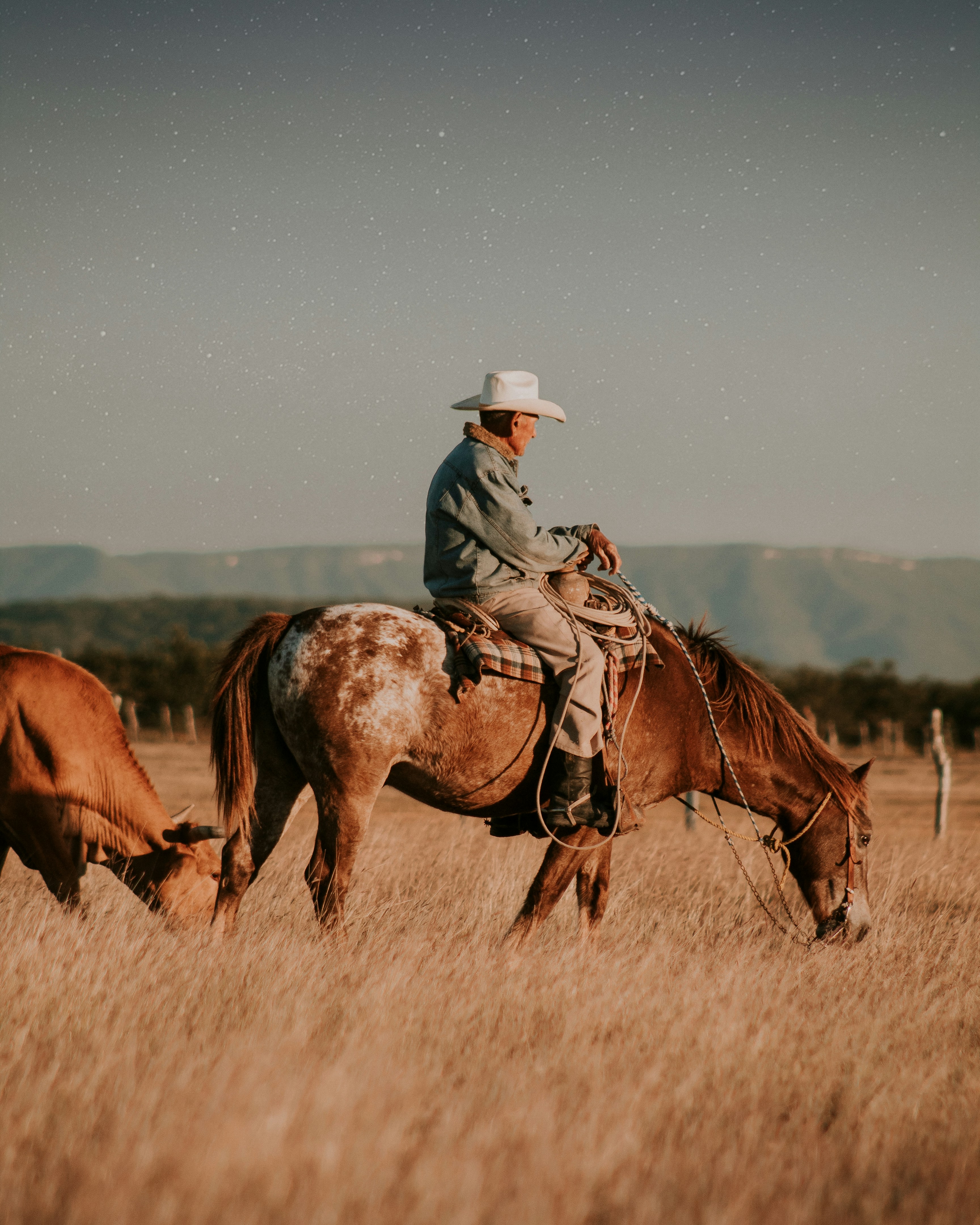 Rancher riding through open land